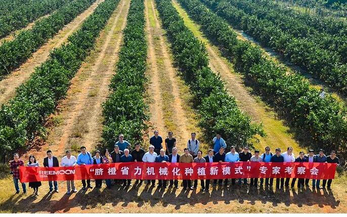 綠萌水果分選設備可進行重量大小分級、顏色、瑕疵外觀視覺分選，無損檢測糖度，甜度，酸度、空心、浮皮、褐變、果肉損傷等內(nèi)部指標檢測，提供智能全自動臍橙分選機,臍橙分選設備,臍橙選果機,臍橙選果設備,臍橙分級機,臍橙稱重分揀機,臍橙大小直徑選果，臍橙采后分選方案和價格