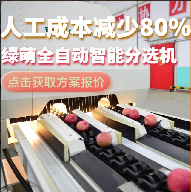 綠萌是水果智能分選設備國家高新技術(shù)企業(yè),對水果采后處理提供全套解決方案。綠萌水果分選機可進行大小重量分級、外觀顏色分選、內(nèi)部品質(zhì)糖度檢測。提供全自動水果分選設備,水果選果機,智能水果分選機,全自動水果分選機,水果分級機,小型水果分選機，水果分級機,水果稱重分選機,水果重量分選機,水果大小分選機,水果顏色分選機,水果糖度分選機,配套水果清洗機、水果洗果保鮮機、水果包裝機、水果消毒滅菌殺菌機,水果打蠟機。更多水果分選方案報價,小型水果選果設備價格、水果分級機怎么樣、口碑好質(zhì)量好的水果選果機、了解高性能水果分選機多少錢,咨詢客服免費獲取