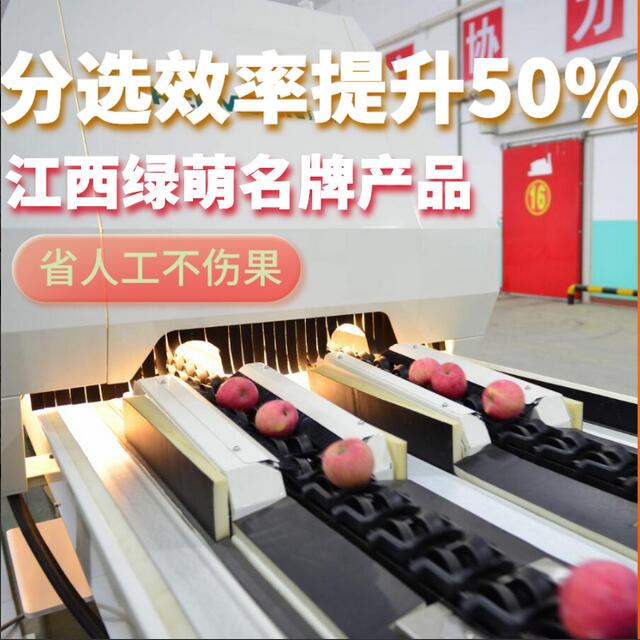 綠萌是水果智能分選設備國家高新技術(shù)企業(yè),對水果采后處理提供全套解決方案。綠萌水果分選機可進行大小重量分級、外觀顏色分選、內(nèi)部品質(zhì)糖度檢測。提供全自動水果分選設備,水果選果機,智能水果分選機,全自動水果分選機,水果分級機,小型水果分選機，水果分級機,水果稱重分選機,水果重量分選機,水果大小分選機,水果顏色分選機,水果糖度分選機,配套水果清洗機、水果洗果保鮮機、水果包裝機、水果消毒滅菌殺菌機,水果打蠟機。更多水果分選方案報價,小型水果選果設備價格、水果分級機怎么樣、口碑好質(zhì)量好的水果選果機、了解高性能水果分選機多少錢,咨詢客服免費獲取