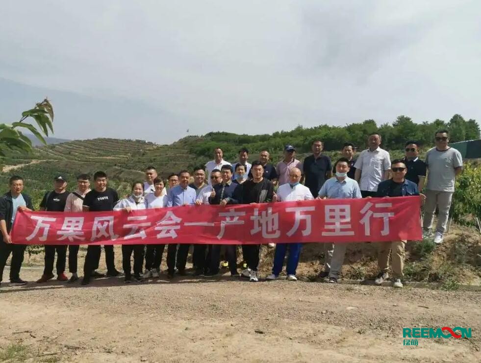 綠萌自動化櫻桃分選設備亮相甘肅天水引起各界廣泛關注 5月29日，綠萌櫻桃自動化分揀生產(chǎn)線在甘