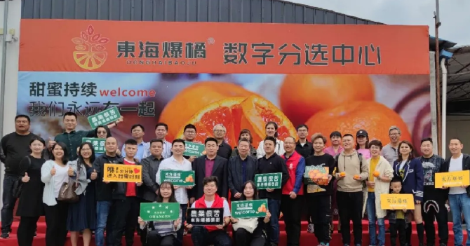 東海爆橘建立綠萌數(shù)字分選中心一陣果汁，細膩無渣，這橘子臉皮很薄，脾氣“爆”！每年秋冬季節(jié)，市場上各種各樣的橘子層出不窮，有些是黃澄澄的，有些是紅色的，讓人一看就喜歡，每年都買回來。貪心的時候找到一個，手里冰涼。我迫不及待地把它剝下來，迅速放進嘴里。那一刻橙汁從我的喉嚨滑落，整個秋冬的干燥被