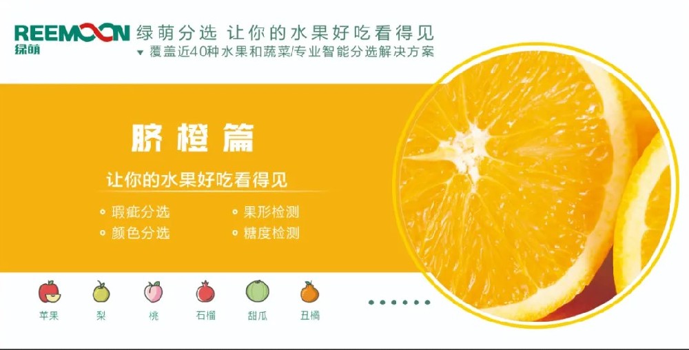 糖度可視化 好吃看得見【臍橙篇】來源：客家新聞網(wǎng)訊 記者何亮報道據(jù)悉，2019年，贛州市臍橙種植面積達到162萬畝、產(chǎn)量122萬噸，產(chǎn)值129億元。?20多年前，一批和新奇士品質(zhì)相近的贛南臍橙，用低于新奇士一半的價格出售，銷量卻并不見得比新奇士好。如今，贛南臍橙產(chǎn)值129億元，是什么讓贛南臍橙聲名鵲起？綠萌臍橙果表瑕疵