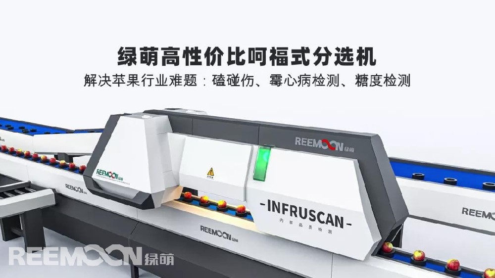 一天一蘋果，疾病遠(yuǎn)離我。作為一種常見(jiàn)的大眾水果，蘋果在中國(guó)的栽培歷史超過(guò)2000年。在這歷史的長(zhǎng)河里，涌現(xiàn)了一大批內(nèi)外兼修的優(yōu)質(zhì)果品，如威海蘋果，肉質(zhì)細(xì)膩、質(zhì)脆、酸甜適口，每100克果肉維生素C含量達(dá)到24毫克，糖度達(dá)到18、酸度14.8，并富含硒、鋅等多種人體健康必須的微量元素，備受客商追捧。好蘋果是種出來(lái)的，也