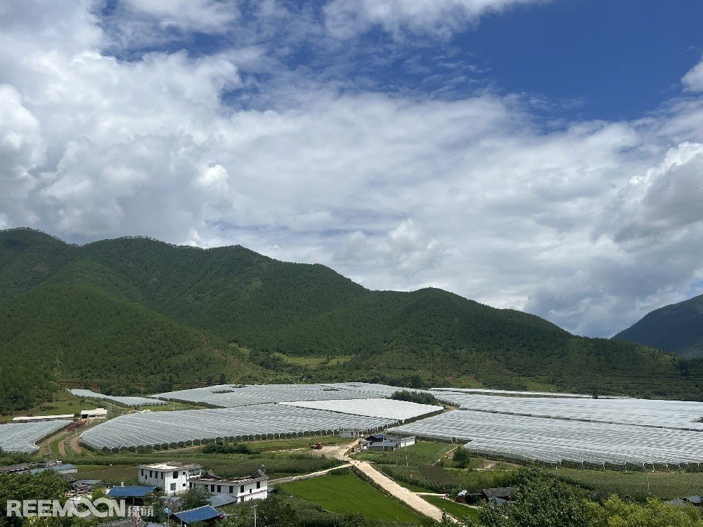 麗江市蘋(píng)果種植主產(chǎn)區(qū)海拔2400-2700米，良好的立體環(huán)境條件造就了麗江蘋(píng)果糖度高、果肉緊密、硬度高、無(wú)污染的品質(zhì)特點(diǎn)。2019年，在全國(guó)種植產(chǎn)區(qū)的甄選中，鑫榮懋選定了云南省麗江市蘋(píng)果優(yōu)勢(shì)產(chǎn)區(qū)作為未來(lái)蘋(píng)果種植項(xiàng)目的實(shí)施地，目前已種植新西蘭引進(jìn)的優(yōu)良蘋(píng)果品種。鑫榮懋以新品種、新技術(shù)及高品質(zhì)為發(fā)展蘋(píng)果種植的新契機(jī)，