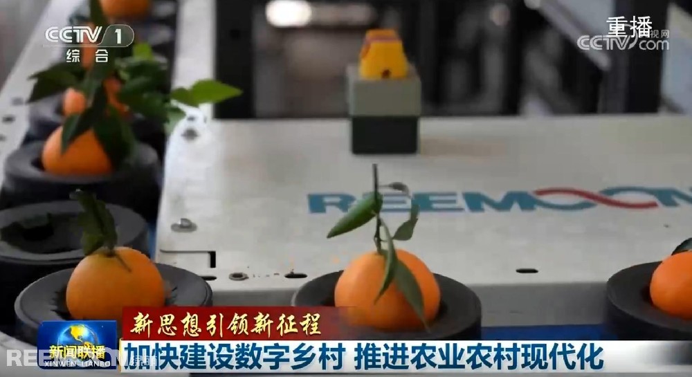 又又又上央視了2025開年見喜綠萌在半月之內(nèi)兩次登上《新聞聯(lián)播》2025年1月1日央視《新聞聯(lián)播》聚焦《甘肅省天水市麥積區(qū)南山花牛蘋果》其中一組畫面中綠萌蘋果雙通道分選線上鏡這條分揀線對蘋果的大小、色澤、瑕疵、糖度、霉心等指標(biāo)進行精準(zhǔn)檢測分級助推花牛蘋果做大做強助力果農(nóng)增收致富10